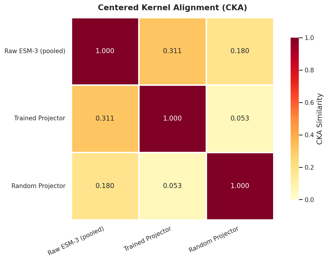 CKA representation similarity heatmap