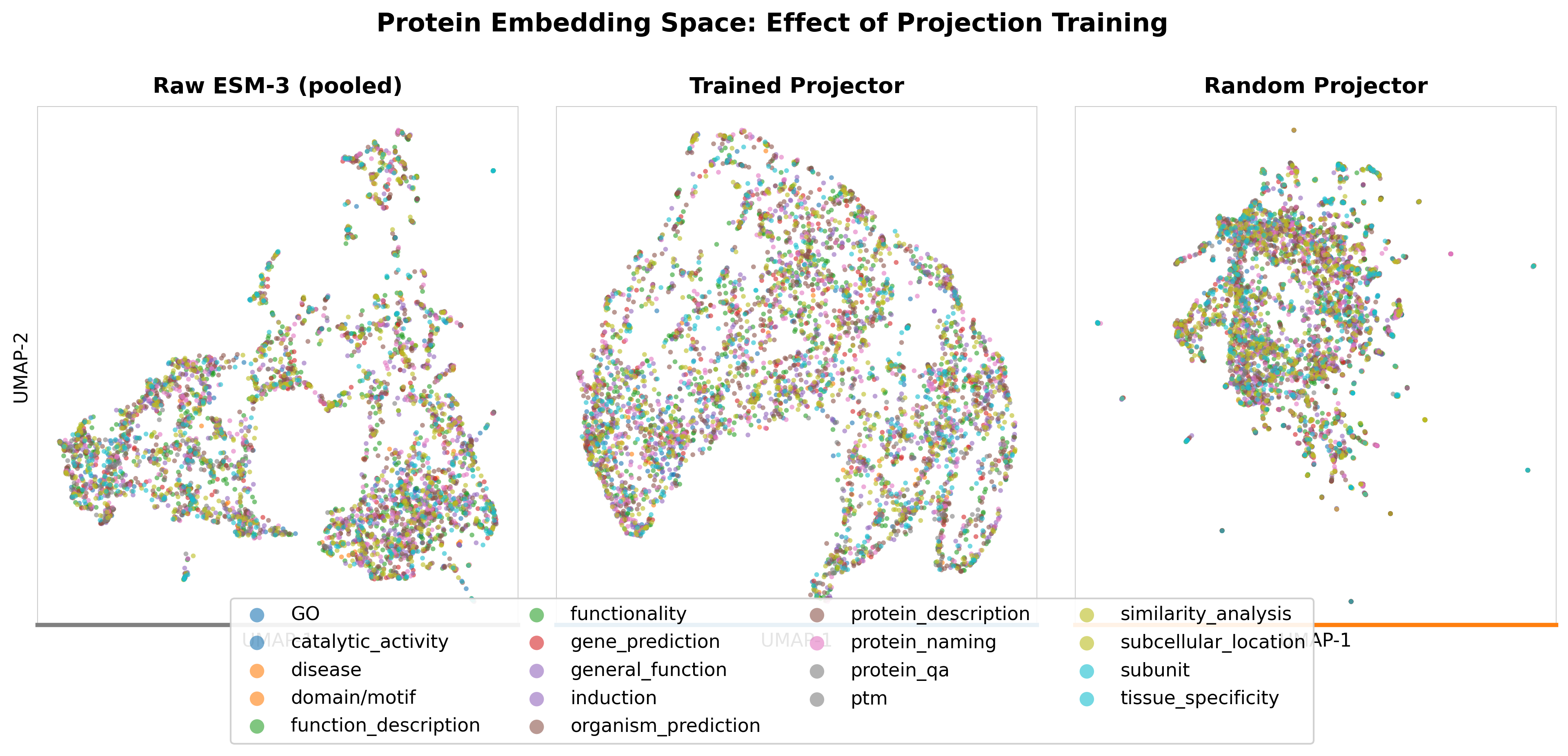 UMAP embedding visualization