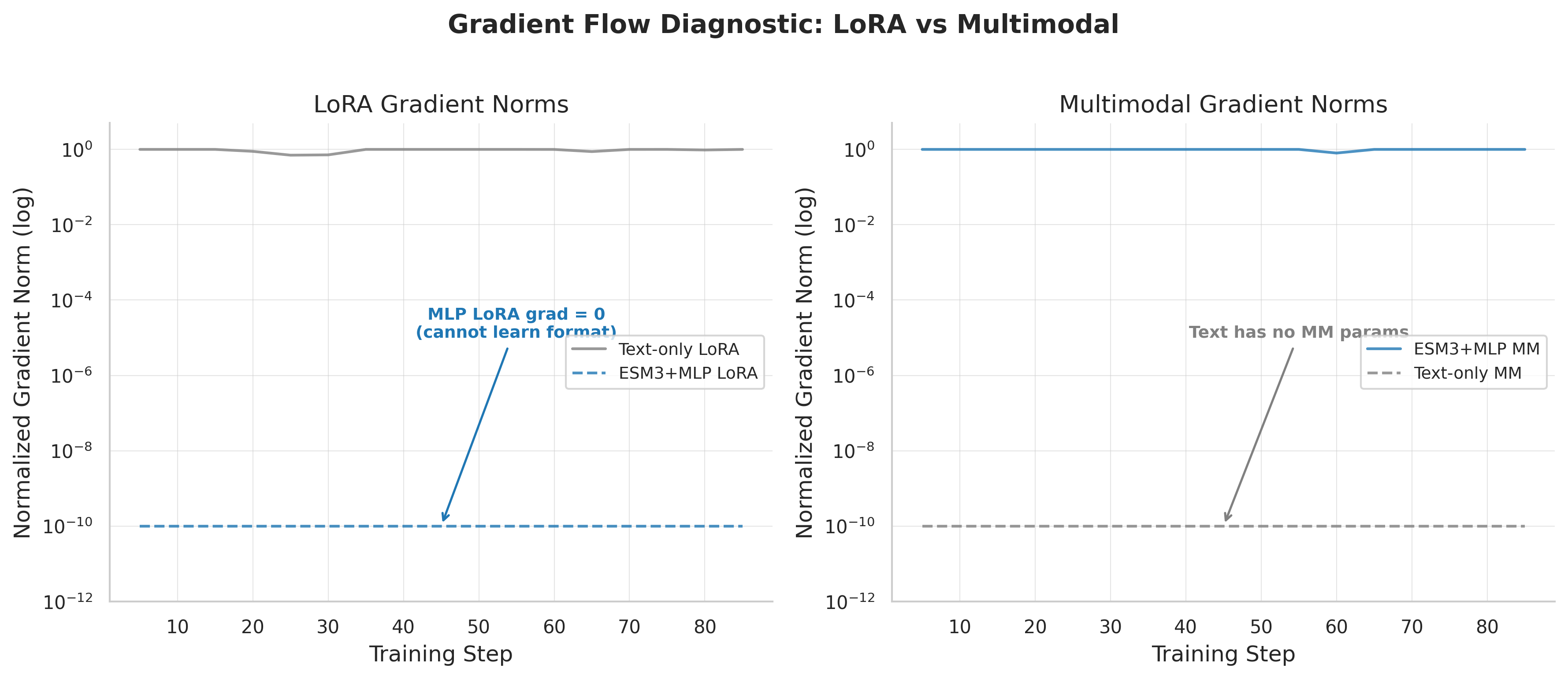 Gradient norms showing the routing problem